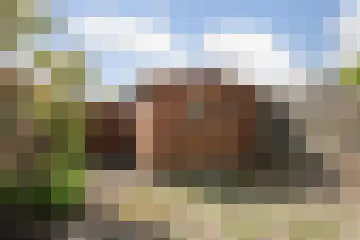 Occarinolaan 6 Nieuwegein thumbnail 34