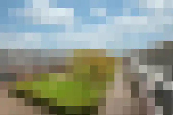 Oceaanwater 3 Houten thumbnail 25