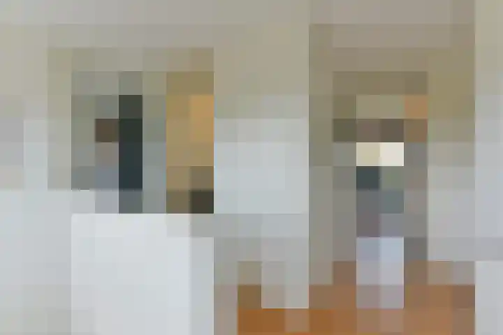 Oceaanwater 3 Houten thumbnail 28