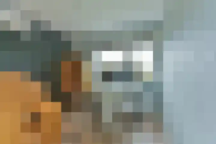 Oceaanwater 3 Houten thumbnail 34