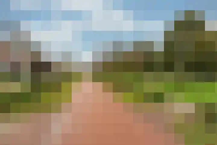 Oceaanwater 3 Houten thumbnail 44