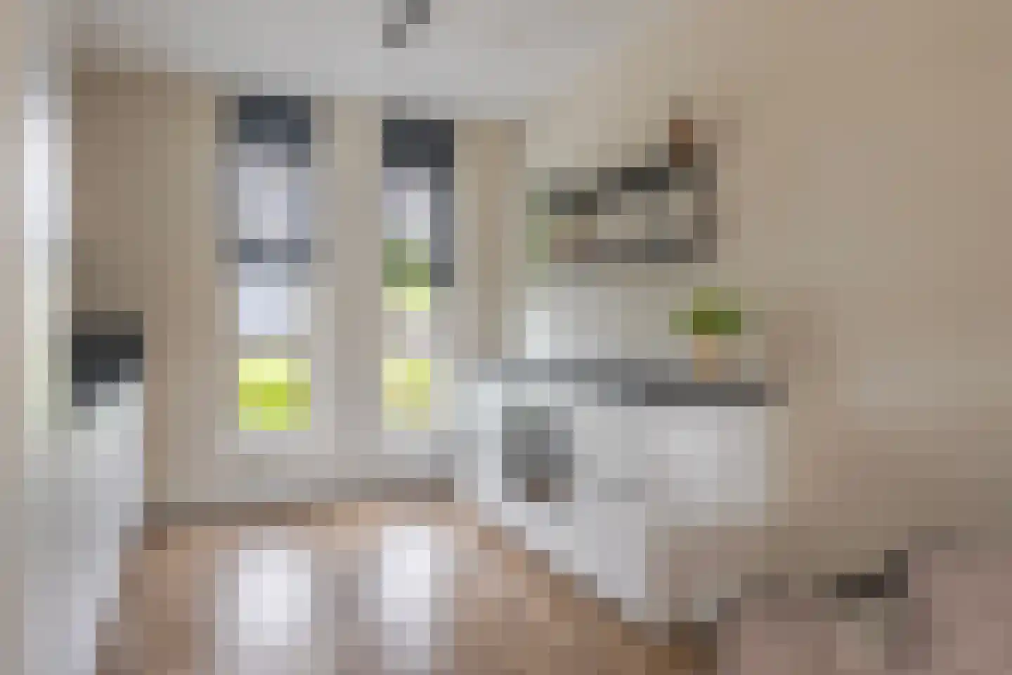 Ochtenddauw 3 Arnhem thumbnail 13