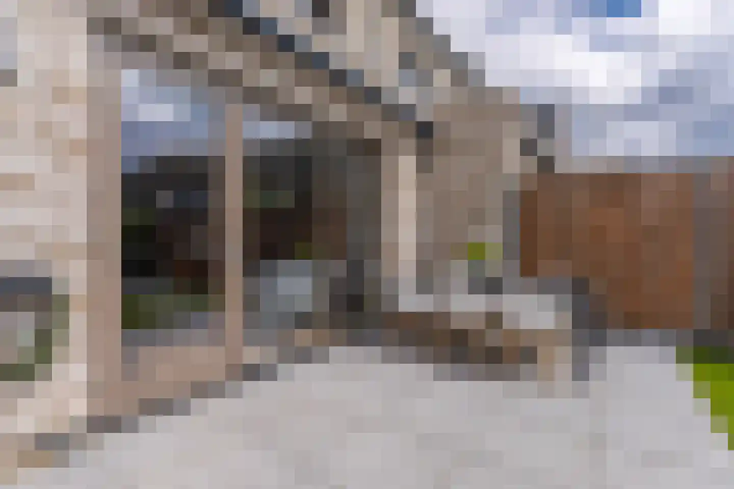 Ochtenddauw 3 Arnhem thumbnail 27