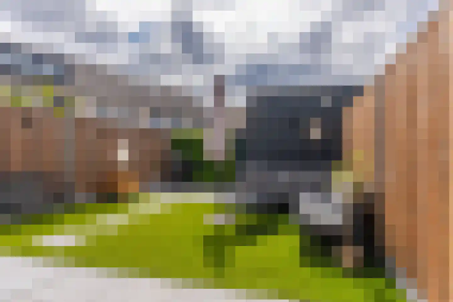 Ochtenddauw 3 Arnhem thumbnail 28