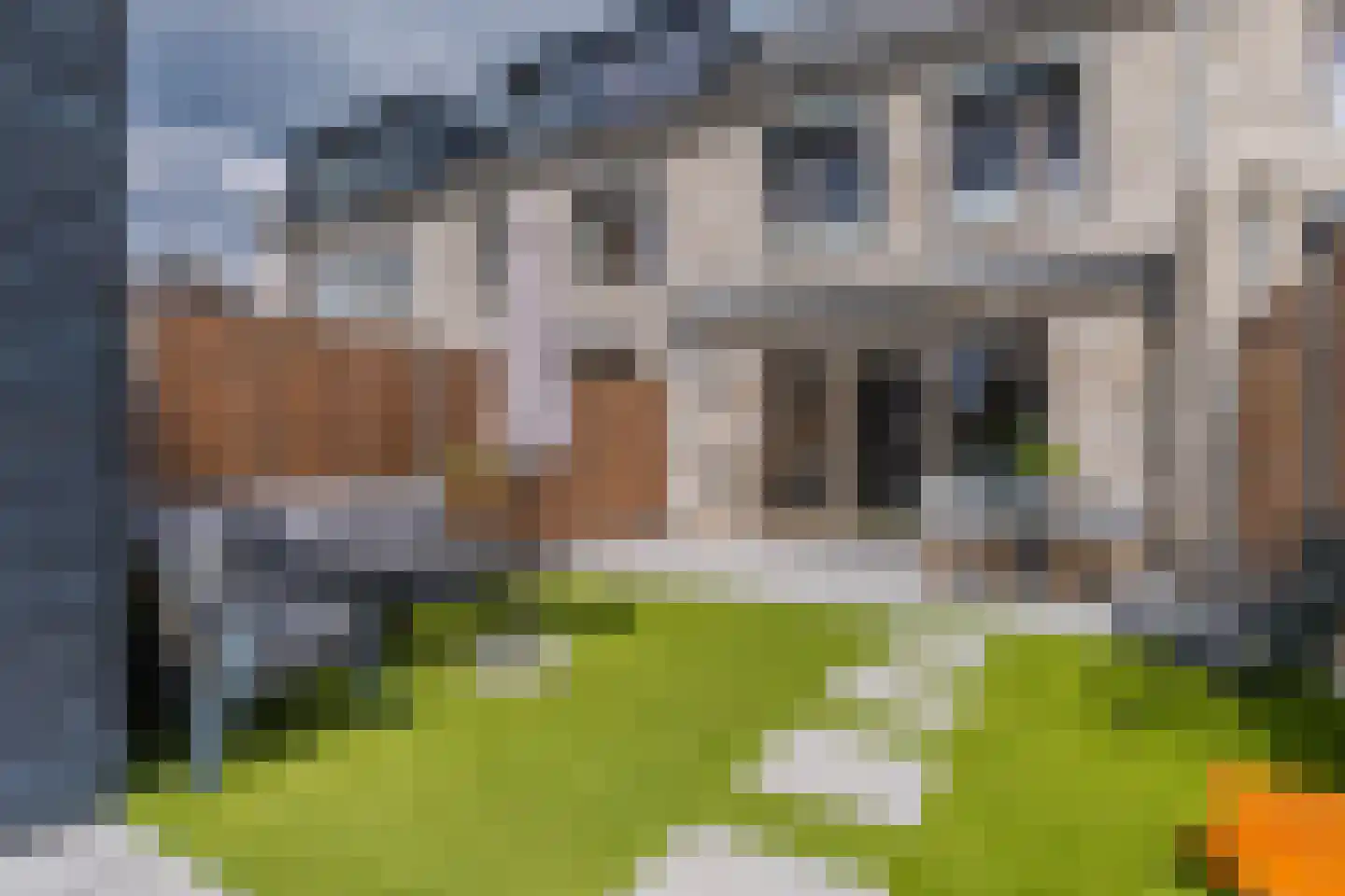 Ochtenddauw 3 Arnhem thumbnail 30