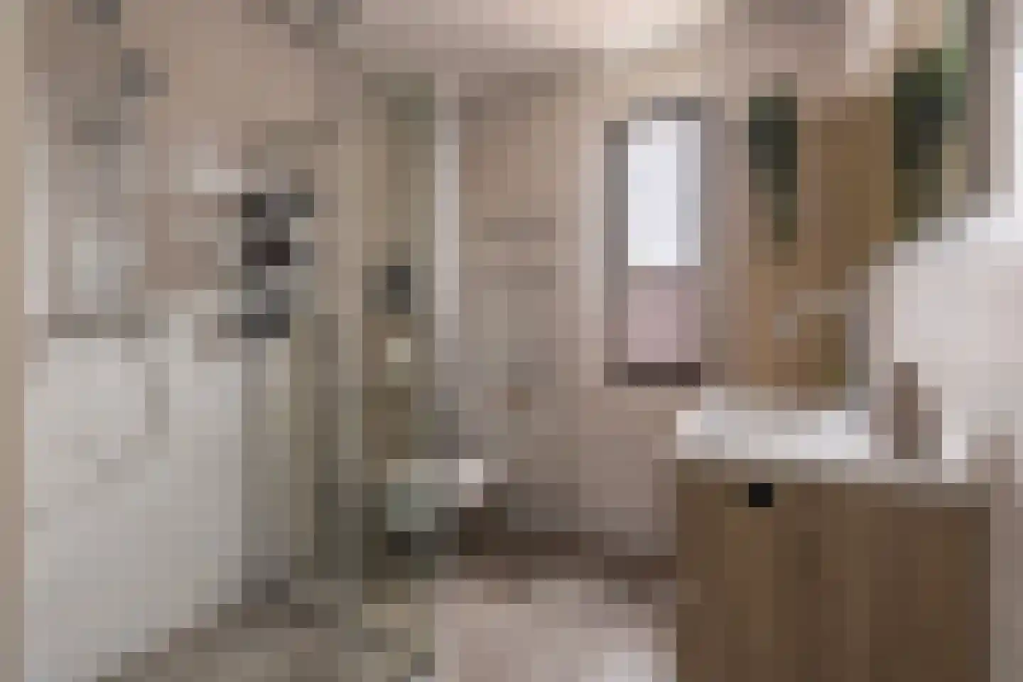 Ochtenddauw 3 Arnhem thumbnail 4