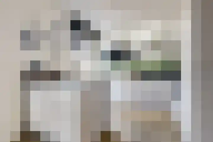 Ochtenddauw 5 Arnhem thumbnail 11