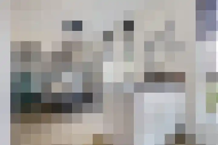 Ochtenddauw 5 Arnhem thumbnail 12