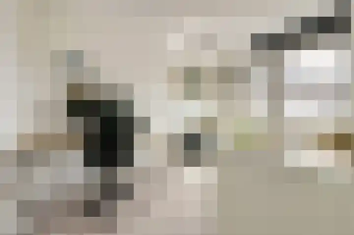Ochtenddauw 5 Arnhem thumbnail 21