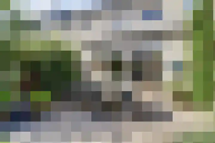 Ochtenddauw 5 Arnhem thumbnail 37