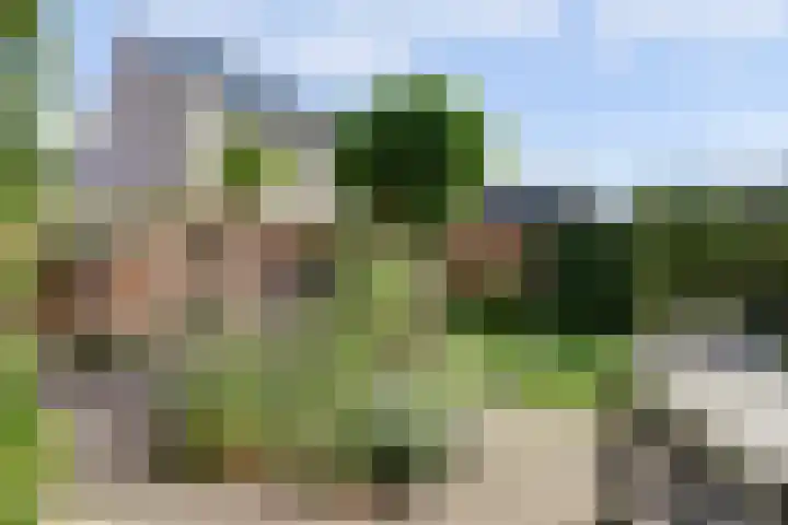 Ochtenddauw 5 Arnhem thumbnail 38