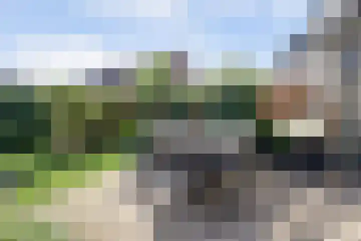Ochtenddauw 5 Arnhem thumbnail 39