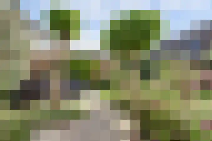 Ochtenddauw 5 Arnhem thumbnail 40