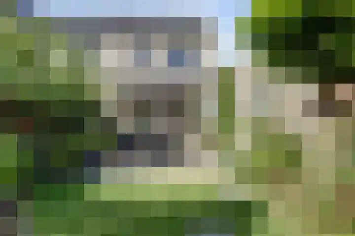 Ochtenddauw 5 Arnhem thumbnail 42