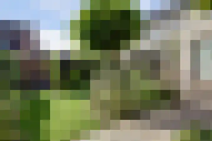 Ochtenddauw 5 Arnhem thumbnail 43