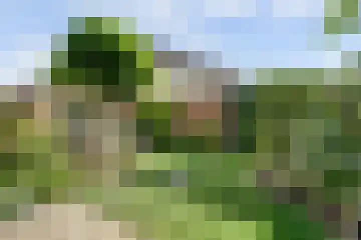 Ochtenddauw 5 Arnhem thumbnail 44