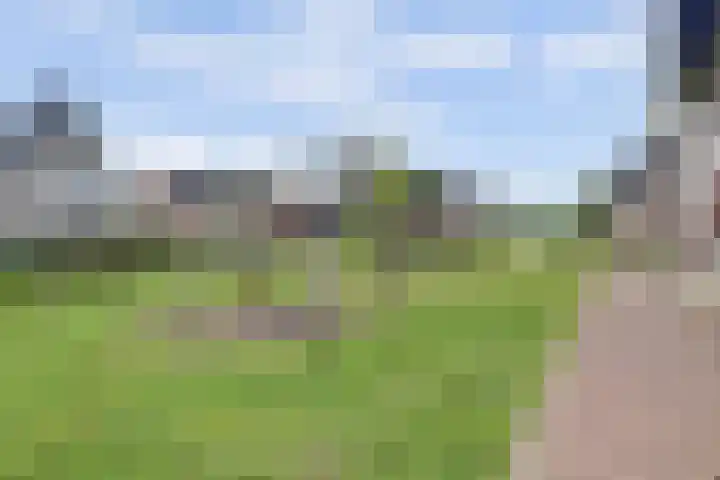 Ochtenddauw 5 Arnhem thumbnail 45