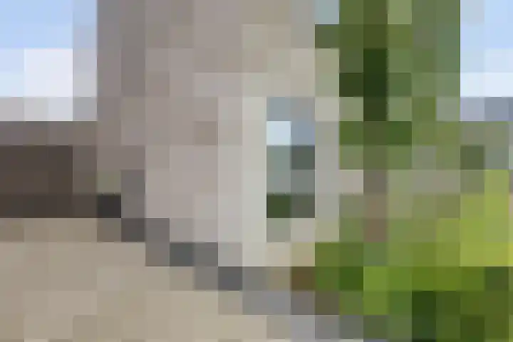 Ochtenddauw 5 Arnhem thumbnail 46