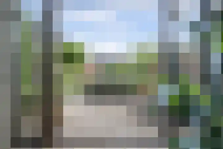 Ochtenddauw 5 Arnhem thumbnail 5