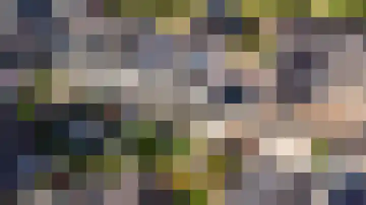 Ochtenddauw 5 Arnhem thumbnail 50