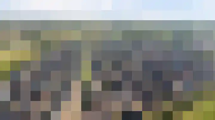 Ochtenddauw 5 Arnhem thumbnail 52