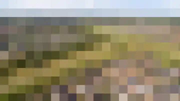 Ochtenddauw 5 Arnhem thumbnail 54