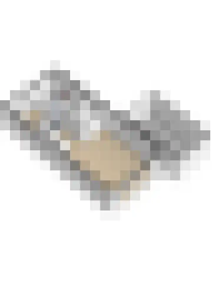 Ochtenddauw 5 Arnhem thumbnail 58