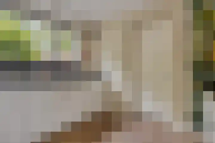 Ochtendgloren 28 Elst thumbnail 10