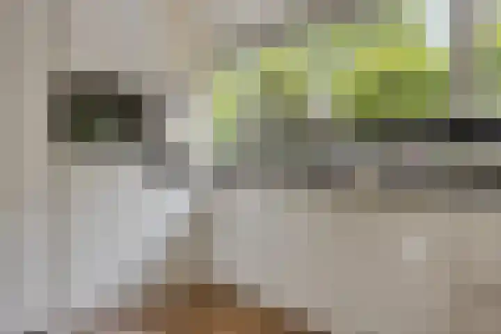 Ochtendgloren 28 Elst thumbnail 11