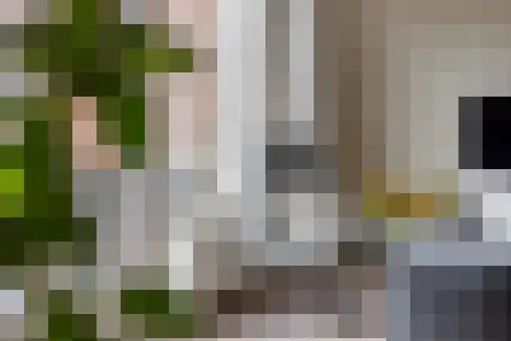 Ochtendgloren 28 Elst thumbnail 16