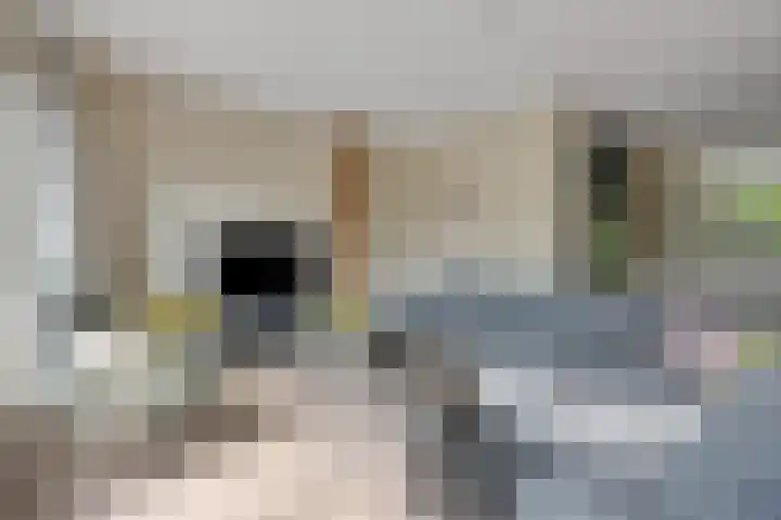 Ochtendgloren 28 Elst thumbnail 17