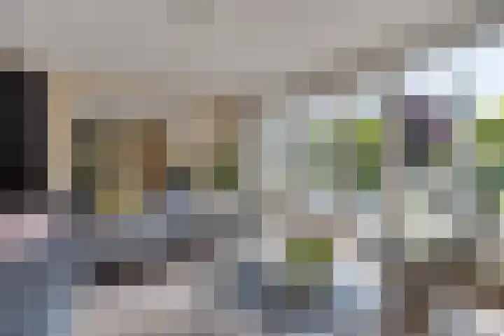 Ochtendgloren 28 Elst thumbnail 18