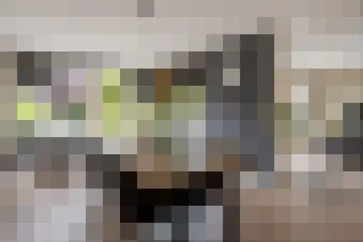 Ochtendgloren 28 Elst thumbnail 21