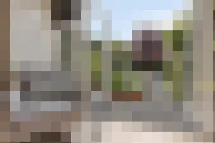 Ochtendgloren 28 Elst thumbnail 23
