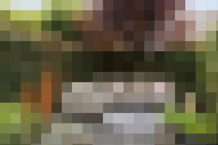 Ochtendgloren 28 Elst thumbnail 24