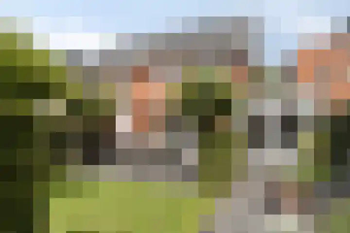 Ochtendgloren 28 Elst thumbnail 25