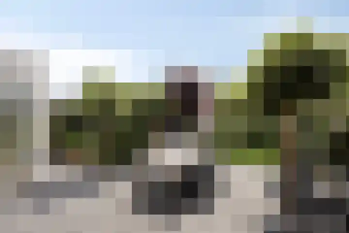 Ochtendgloren 28 Elst thumbnail 27