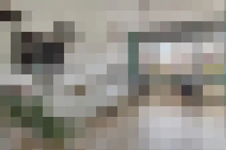 Ochtendgloren 28 Elst thumbnail 31