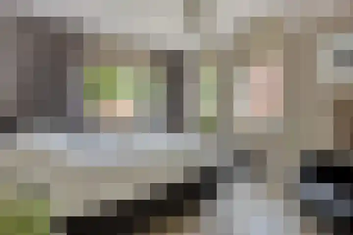 Ochtendgloren 28 Elst thumbnail 32