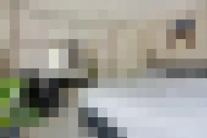 Ochtendgloren 28 Elst thumbnail 34