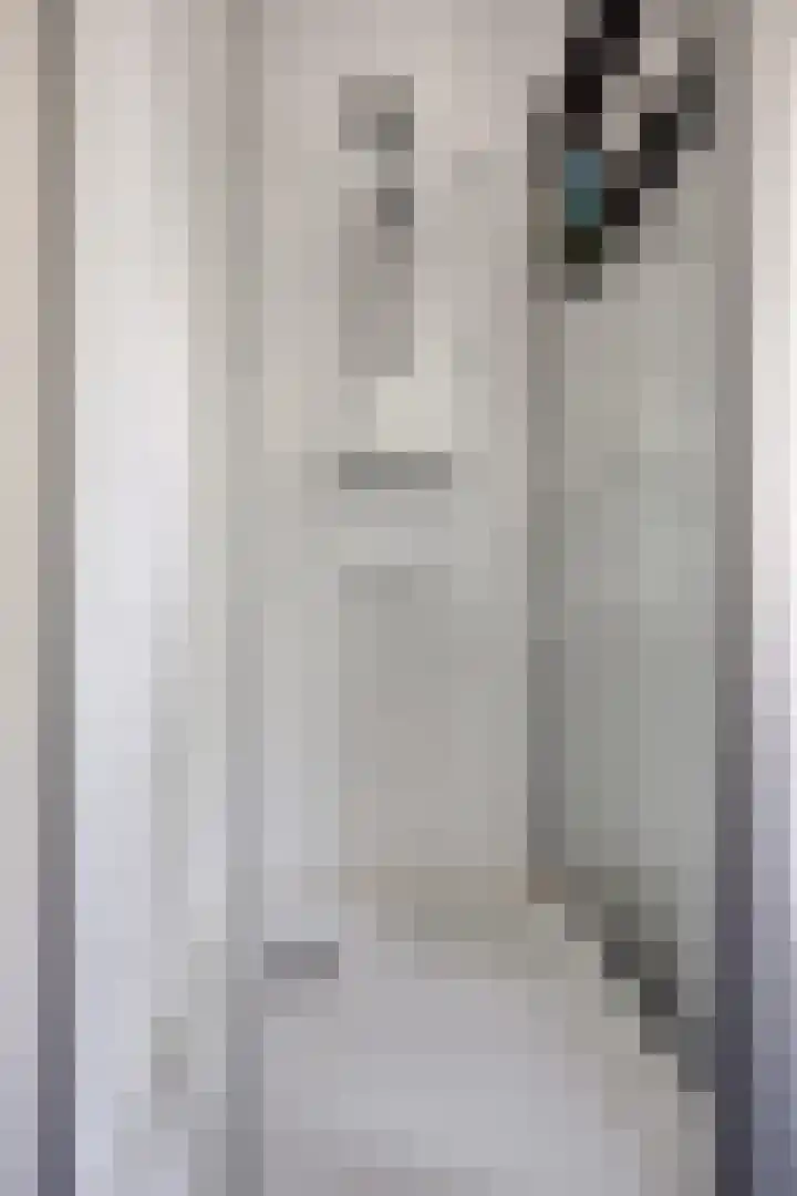 Ochtendgloren 28 Elst thumbnail 36