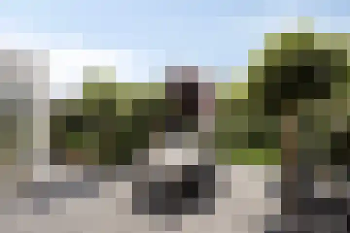 Ochtendgloren 28 Elst thumbnail 4