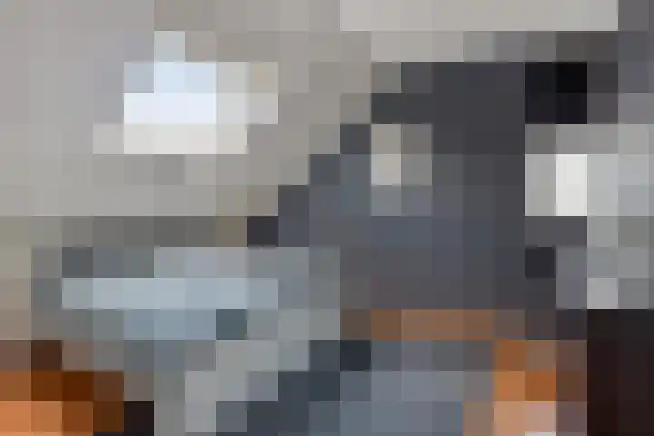 Ochtendgloren 28 Elst thumbnail 42