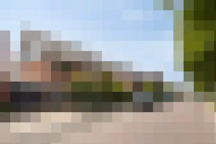 Ochtendgloren 28 Elst thumbnail 45