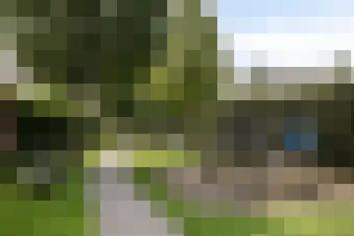 Ochtendgloren 28 Elst thumbnail 46