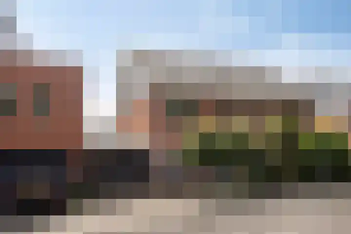 Ochtendgloren 28 Elst thumbnail 5