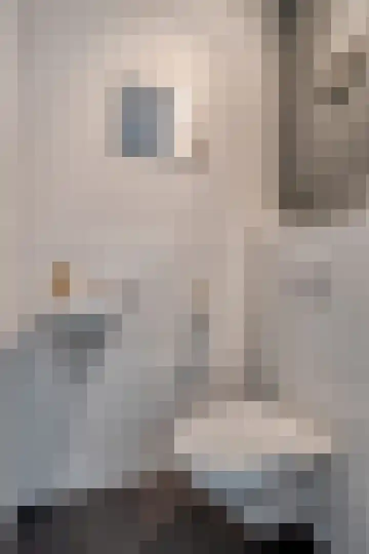 Ochtendgloren 28 Elst thumbnail 8