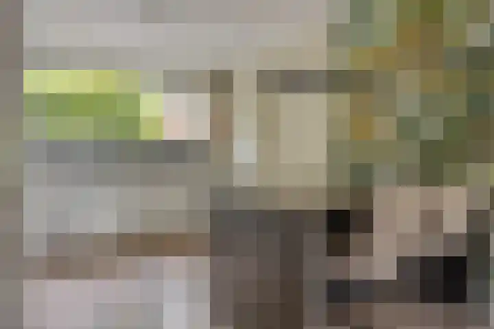 Ochtendgloren 28 Elst thumbnail 9