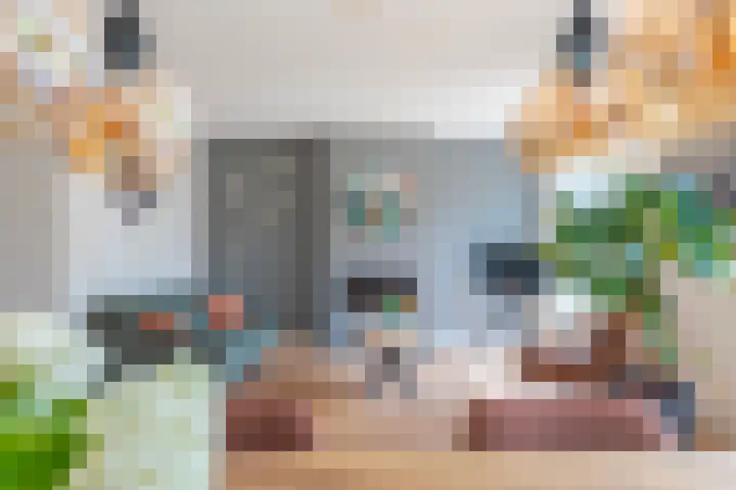 Ochtendnevel 16 Elst thumbnail 13