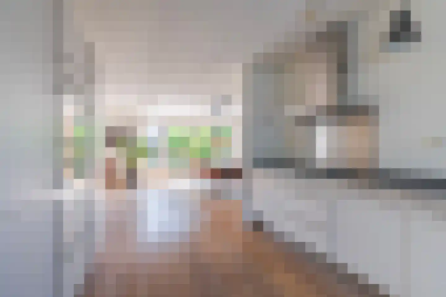 Ochtendnevel 16 Elst thumbnail 21
